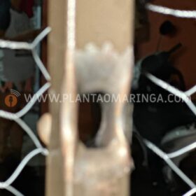 Jovens sofrem atentado a tiros no Jardim Universal em Sarandi Foto 7 Fotos de Jovens sofrem atentado a tiros no Jardim Universal em Sarandi