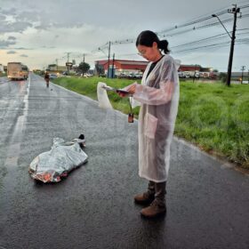 Mulher morre após ser atropelada por carro conduzido por padre em Maringá Foto 6 Fotos de Mulher morre após ser atropelada por carro conduzido por padre em Maringá