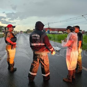 Mulher morre após ser atropelada por carro conduzido por padre em Maringá Foto 7 Fotos de Mulher morre após ser atropelada por carro conduzido por padre em Maringá