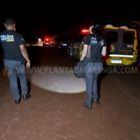 Parte de ossada humana é encontrada na Zona Rural de Maringá Foto 7 Fotos de Parte de ossada humana é encontrada na Zona Rural de Maringá