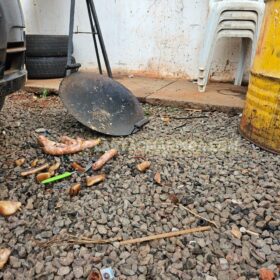 Churrasqueira acesa com álcool explode e deixa homem em estado grave, em Maringá Foto 2 Fotos de Churrasqueira acesa com álcool explode e deixa homem em estado grave, em Maringá