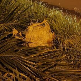 Homem morre após grave acidente de trânsito, em Maringá. Foto 5 Fotos de Homem morre após grave acidente de trânsito, em Maringá.