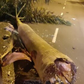 Homem morre após grave acidente de trânsito, em Maringá. Foto 6 Fotos de Homem morre após grave acidente de trânsito, em Maringá.