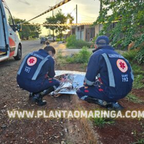 Adolescente é apreendido suspeito de envolvimento em execução em Sarandi Foto 4 Fotos de Adolescente é apreendido suspeito de envolvimento em execução em Sarandi