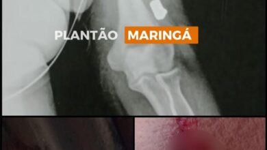 Fotos de No Sarandi, bala perdida perfura teto de casa e atinge moradora de 58 anos 