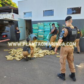 Polícia Militar apreende quase duas toneladas de maconha em oficina mecânica em Maringá Foto 11 Fotos de Polícia Militar apreende quase duas toneladas de maconha em oficina mecânica em Maringá