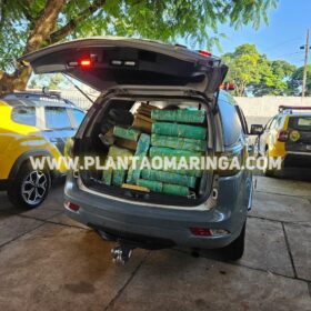 Polícia Militar apreende quase duas toneladas de maconha em oficina mecânica em Maringá Foto 3 Fotos de Polícia Militar apreende quase duas toneladas de maconha em oficina mecânica em Maringá