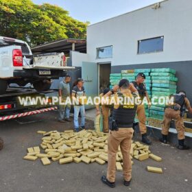 Polícia Militar apreende quase duas toneladas de maconha em oficina mecânica em Maringá Foto 5 Fotos de Polícia Militar apreende quase duas toneladas de maconha em oficina mecânica em Maringá