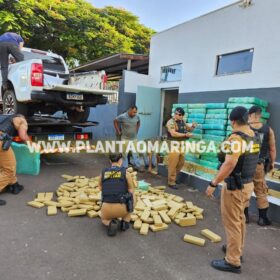 Polícia Militar apreende quase duas toneladas de maconha em oficina mecânica em Maringá Foto 6 Fotos de Polícia Militar apreende quase duas toneladas de maconha em oficina mecânica em Maringá