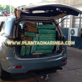 Polícia Militar apreende quase duas toneladas de maconha em oficina mecânica em Maringá Foto 7 Fotos de Polícia Militar apreende quase duas toneladas de maconha em oficina mecânica em Maringá