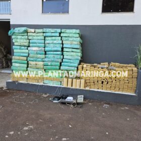 Polícia Militar apreende quase duas toneladas de maconha em oficina mecânica em Maringá Foto 9 Fotos de Polícia Militar apreende quase duas toneladas de maconha em oficina mecânica em Maringá