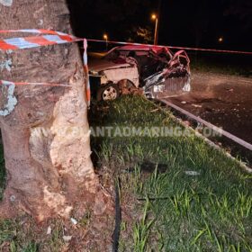 Homem morre após bater carro contra árvore em Maringá Foto 13 Fotos de Homem morre após bater carro contra árvore em Maringá