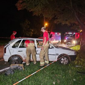 Homem morre após bater carro contra árvore em Maringá Foto 14 Fotos de Homem morre após bater carro contra árvore em Maringá