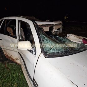 Homem morre após bater carro contra árvore em Maringá Foto 16 Fotos de Homem morre após bater carro contra árvore em Maringá