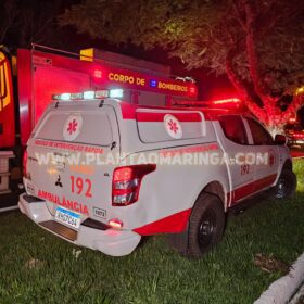 Homem morre após bater carro contra árvore em Maringá Foto 8 Fotos de Homem morre após bater carro contra árvore em Maringá
