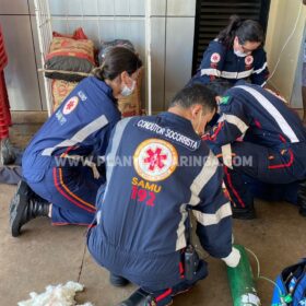 Câmera de segurança flagra momento em que homem é esfaqueado por colega de trabalho, em Maringá. Foto 9 Fotos de Câmera de segurança flagra momento em que homem é esfaqueado por colega de trabalho, em Maringá.