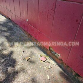Imagens mostram jovem de 18 anos sendo perseguido e executado em Sarandi Foto 3 Fotos de Imagens mostram jovem de 18 anos sendo perseguido e executado em Sarandi