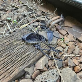 Mulher encontrada morta na linha do trem em Sarandi é identificada Foto 3 Fotos de Mulher encontrada morta na linha do trem em Sarandi é identificada
