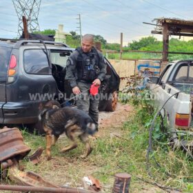 Polícia Civil cumpre mandados em operação contra grupo de Nego Fi, em Sarandi Foto 12 Fotos de Polícia Civil cumpre mandados em operação contra grupo de Nego Fi, em Sarandi