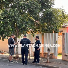Policial Militar é baleado e bandido morre em confronto durante ação contra tráfico de drogas na região de Maringá Foto 7 Fotos de Policial Militar é baleado e bandido morre em confronto durante ação contra tráfico de drogas na região de Maringá