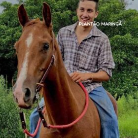 Empresário maringaense é executado com 12 tiros na frente da mãe por criminoso usando terno e capuz Foto 4 Fotos de Empresário maringaense é executado com 12 tiros na frente da mãe por criminoso usando terno e capuz