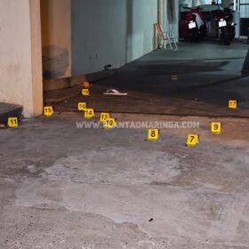 Homem e cachorro são baleados em ataque a tiros na noite de domingo, em Maringá Foto 15 Fotos de Homem e cachorro são baleados em ataque a tiros na noite de domingo, em Maringá