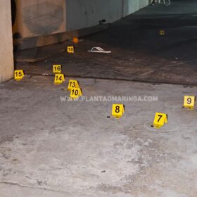 Homem e cachorro são baleados em ataque a tiros na noite de domingo, em Maringá Foto 3 Fotos de Homem e cachorro são baleados em ataque a tiros na noite de domingo, em Maringá