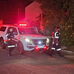Homem e cachorro são baleados em ataque a tiros na noite de domingo, em Maringá Foto 7 Fotos de Homem e cachorro são baleados em ataque a tiros na noite de domingo, em Maringá