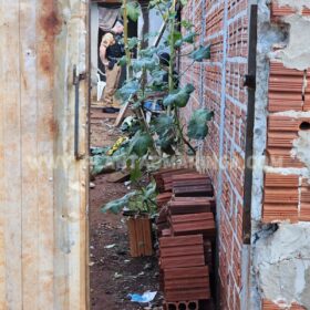 Homem é executado com 14 tiros no quintal de uma residência, em Maringá Foto 3 Fotos de Homem é executado com 14 tiros no quintal de uma residência, em Maringá
