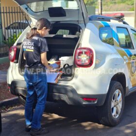 Homem é executado com 14 tiros no quintal de uma residência, em Maringá Foto 10 Fotos de Homem é executado com 14 tiros no quintal de uma residência, em Maringá