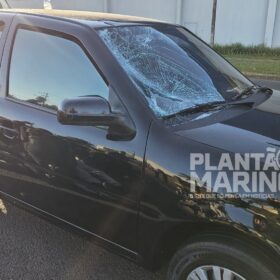 Homem é intubado e socorrido em estado grave após ser atropelado em Maringá Foto 4 Fotos de Homem é intubado e socorrido em estado grave após ser atropelado em Maringá
