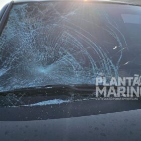 Homem é intubado e socorrido em estado grave após ser atropelado em Maringá Foto 5 Fotos de Homem é intubado e socorrido em estado grave após ser atropelado em Maringá
