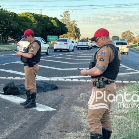 Homem morre após ser atropelado em Maringá e motorista foge sem prestar socorro Foto 3 Fotos de Homem morre após ser atropelado em Maringá e motorista foge sem prestar socorro