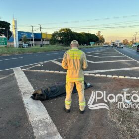 Homem morre após ser atropelado em Maringá e motorista foge sem prestar socorro Foto 8 Fotos de Homem morre após ser atropelado em Maringá e motorista foge sem prestar socorro