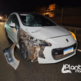 Homem morre atropelado por carro ao tentar atravessar BR-376 em Sarandi Foto 5 Fotos de Homem morre atropelado por carro ao tentar atravessar BR-376 em Sarandi