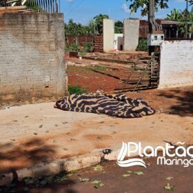 Mulher é encontrada morta caída ao lado de motocicleta com marca de tiro no pescoço Foto 3 Fotos de Mulher é encontrada morta caída ao lado de motocicleta com marca de tiro no pescoço