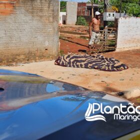 Mulher é encontrada morta caída ao lado de motocicleta com marca de tiro no pescoço Foto 4 Fotos de Mulher é encontrada morta caída ao lado de motocicleta com marca de tiro no pescoço