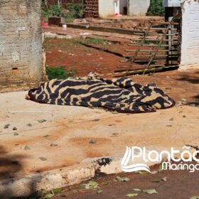 Mulher é encontrada morta caída ao lado de motocicleta com marca de tiro no pescoço Foto 5 Fotos de Mulher é encontrada morta caída ao lado de motocicleta com marca de tiro no pescoço