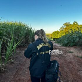 Sarandiense é executado a tiros e tem cabeça decepada do corpo Foto 11 Fotos de Sarandiense é executado a tiros e tem cabeça decepada do corpo