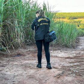 Sarandiense é executado a tiros e tem cabeça decepada do corpo Foto 12 Fotos de Sarandiense é executado a tiros e tem cabeça decepada do corpo