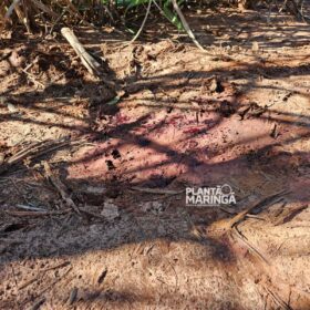 Sarandiense é executado a tiros e tem cabeça decepada do corpo Foto 17 Fotos de Sarandiense é executado a tiros e tem cabeça decepada do corpo
