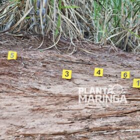 Sarandiense é executado a tiros e tem cabeça decepada do corpo Foto 6 Fotos de Sarandiense é executado a tiros e tem cabeça decepada do corpo