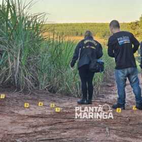 Sarandiense é executado a tiros e tem cabeça decepada do corpo Foto 7 Fotos de Sarandiense é executado a tiros e tem cabeça decepada do corpo