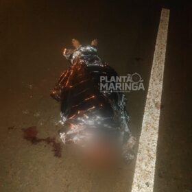 Um passageiro e um assaltante morrem durante assalto a ônibus na PR-444 Foto 4 Fotos de Um passageiro e um assaltante morrem durante assalto a ônibus na PR-444