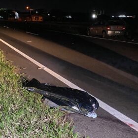 Homem morre atropelado na Rodovia PR-323 Foto 4 Fotos de Homem morre atropelado na Rodovia PR-323