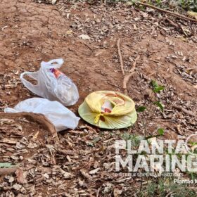 Homem morre durante pescaria no Rio Pirapó entre Maringá e Astorga Foto 1 Fotos de Homem morre durante pescaria no Rio Pirapó entre Maringá e Astorga