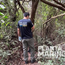 Homem morre durante pescaria no Rio Pirapó entre Maringá e Astorga Foto 5 Fotos de Homem morre durante pescaria no Rio Pirapó entre Maringá e Astorga