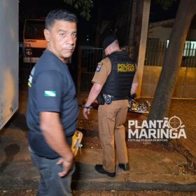 Homem que morreu durante demolição de casa é identificado em Maringá Foto 7 Fotos de Homem que morreu durante demolição de casa é identificado em Maringá