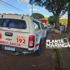Idosa é atacada por cachorro e tem rosto desfigurado em Maringá Foto 2 Fotos de Idosa é atacada por cachorro e tem rosto desfigurado em Maringá
