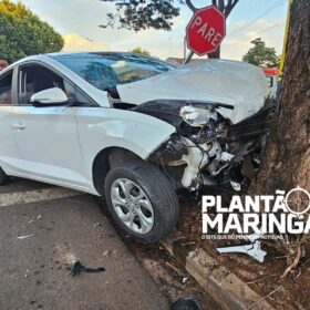 Açougueiro morre após acidente causado por motorista com suspeita de embriaguez em Maringá Foto 4 Fotos de Açougueiro morre após acidente causado por motorista com suspeita de embriaguez em Maringá